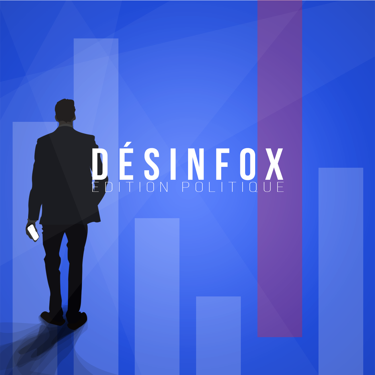 desinfox project
